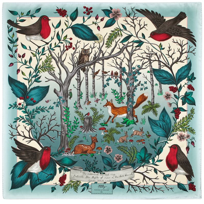 Robin Silk Scarf in Teal