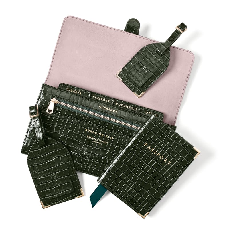 Travel Collection in Deep Shine Evergreen Small Croc