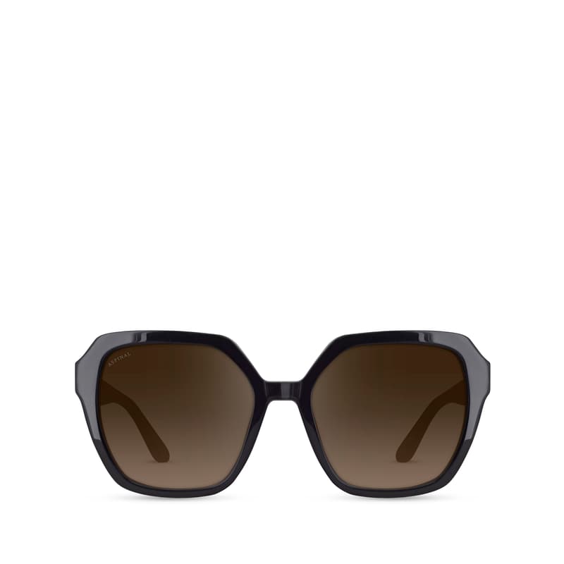 Hudson Women's Sunglasses in Black Acetate